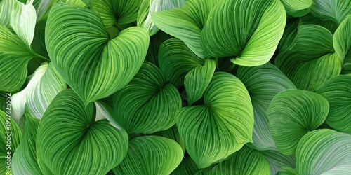 Vibrant Green Heart-Shaped Leaves Cluster on Transparent Background