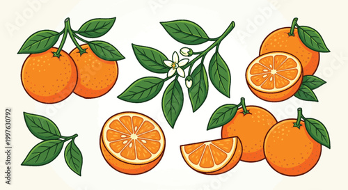 set of orange fruit