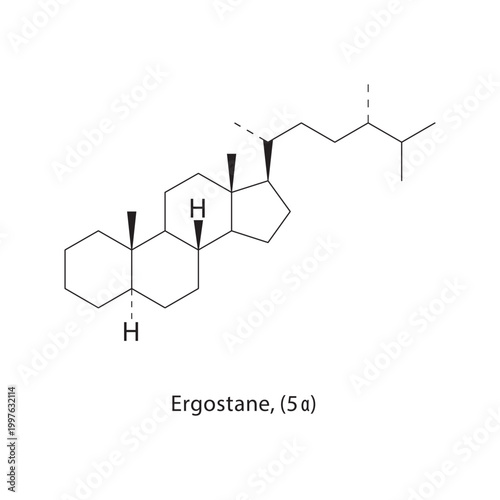 Ergostane (5α) skeletal structure. steroid compound schematic illustration. Simple diagram, chemical formula.