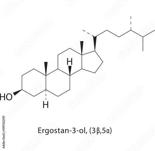 Ergostan-3-ol (3β,5α) skeletal structure. sterol compound schematic illustration. Simple diagram, chemical formula.