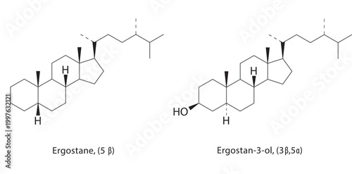 Ergostane (5β) skeletal structure. steroid compound schematic illustration. Simple diagram, chemical formula.