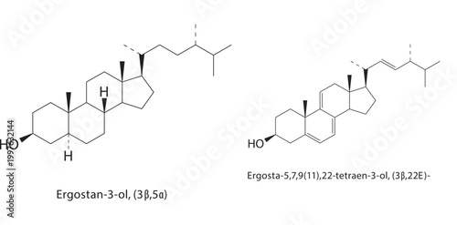 Ergosta-5,7,9(11),22-tetraen-3-ol skeletal structure. sterol compound schematic illustration. Simple diagram, chemical formula.