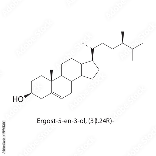Ergost-5-en-3-ol (3β,24R) skeletal structure. sterol compound schematic illustration. Simple diagram, chemical formula.