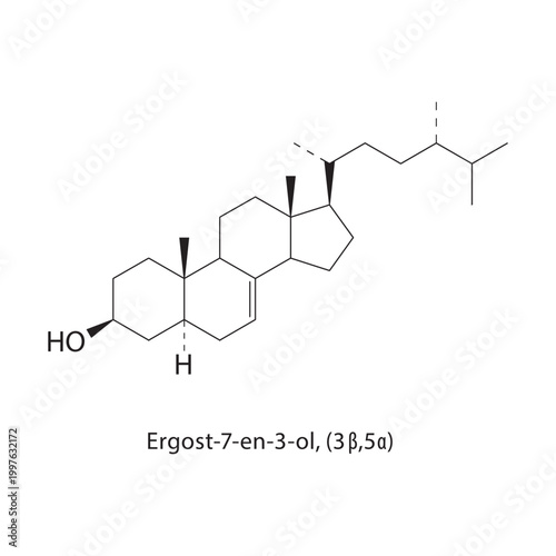 Ergost-7-en-3-ol (3β,5α) skeletal structure. sterol compound schematic illustration. Simple diagram, chemical formula.