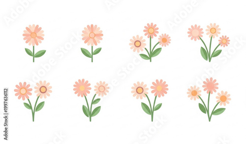 Kalimeris indica Indian aster flat vector floral set with minimal wildflower elements isolated on white
