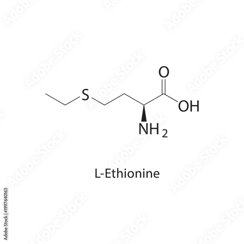 L-Ethionine skeletal structure. amino acid compound schematic illustration. Simple diagram, chemical formula.