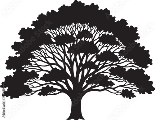 Tree Silhouette of a Large, Spreading Tree with Intricate Branches