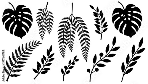 A simple yet striking black and white illustration of a fern branch. Perfect for botanical designs, nature-themed backgrounds, or minimalist branding.