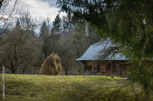 Haystack Near Wooden Cabin in Forest Clearing