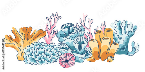 Linear composition of coral reef on seabed in doodle style isolated on white, various polyps and anemones