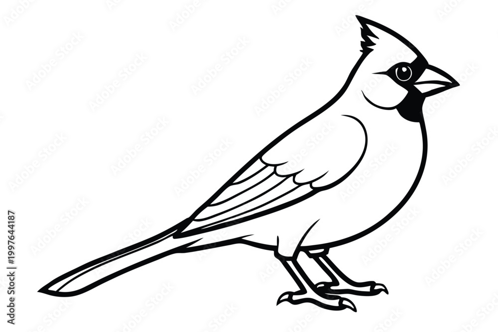 Obraz premium cardinal silhouette line art vector illustration with a white background