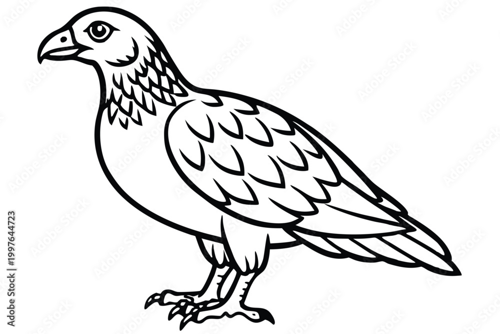 Fototapeta premium buzzard bird silhouette line art vector illustration with a white background