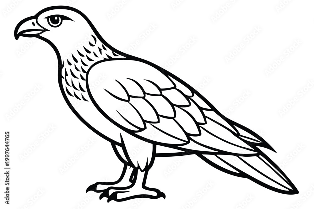 Fototapeta premium buzzard bird silhouette line art vector illustration with a white background
