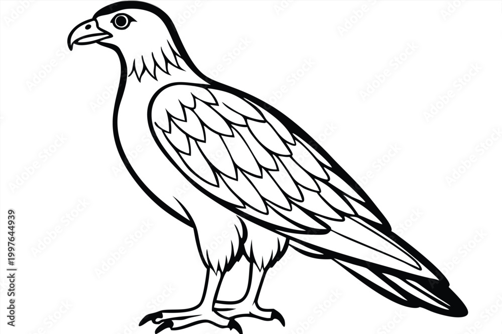 Fototapeta premium buzzard bird silhouette line art vector illustration with a white background
