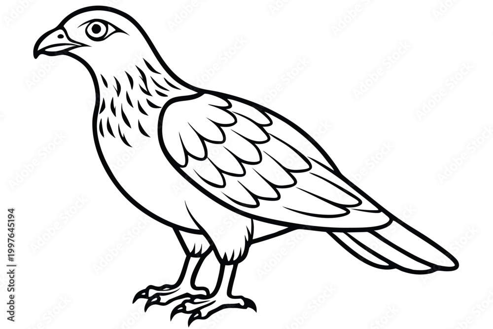 Obraz premium buzzard bird silhouette line art vector illustration with a white background