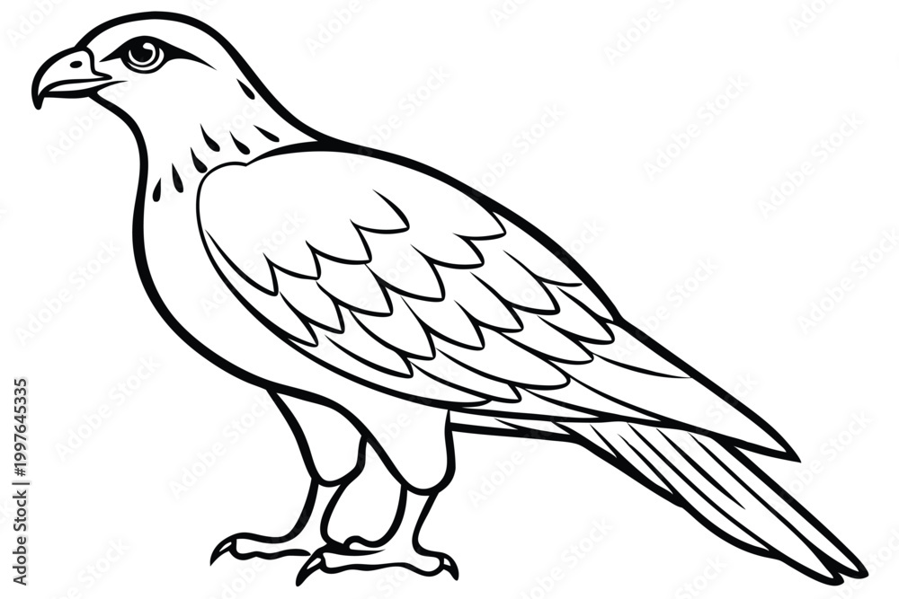 Obraz premium buzzard bird silhouette line art vector illustration with a white background
