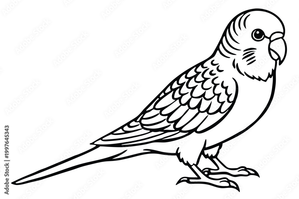 Fototapeta premium budgerigar bird silhouette line art vector illustration with a white background
