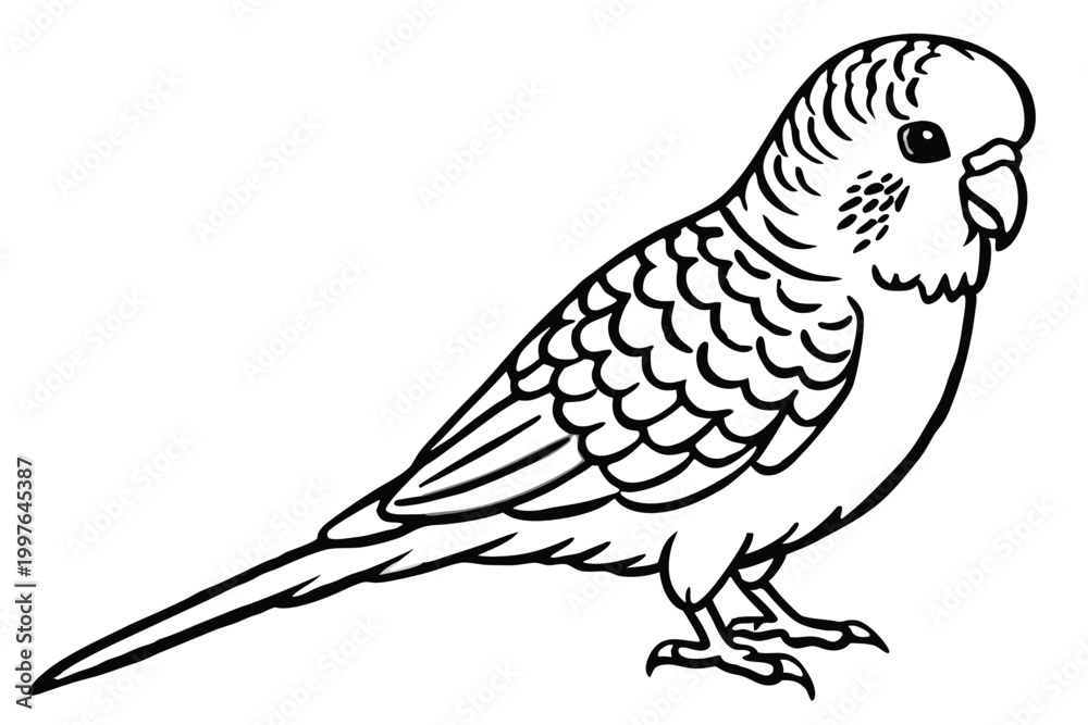 Fototapeta premium budgerigar bird silhouette line art vector illustration with a white background