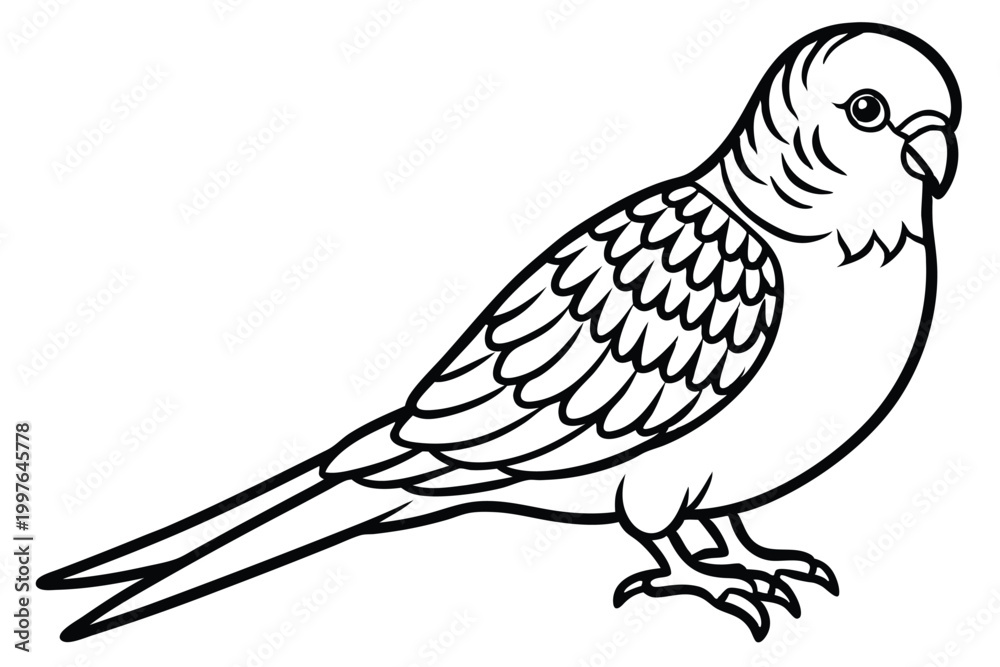 Obraz premium budgerigar bird silhouette line art vector illustration with a white background