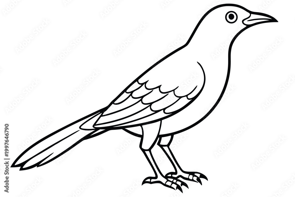 Obraz premium bowerbird silhouette line art vector illustration with a white background