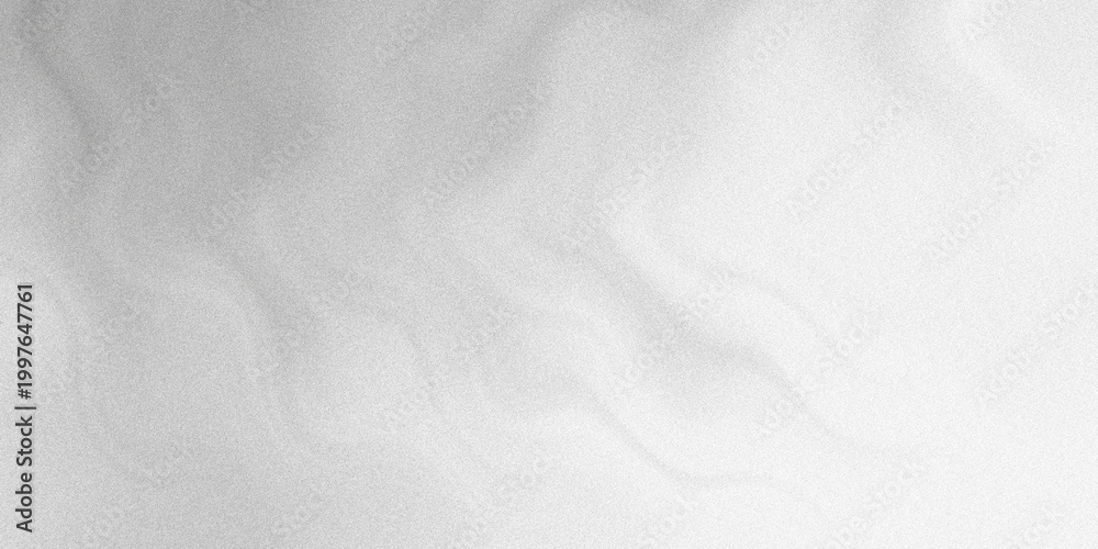Fototapeta premium Abstract flowing liquid texture with soft grey gradients