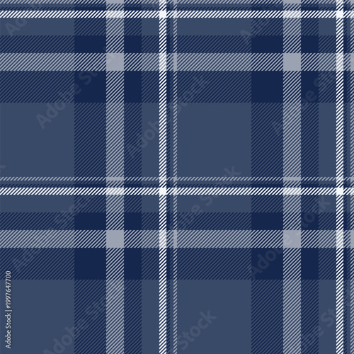Teenager check pattern tartan, holiday background textile fabric. Random plaid texture seamless vector in blue and pastel colors.