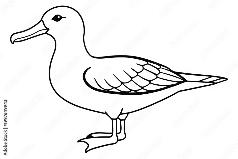 Fototapeta premium albatross bird silhouette line art vector illustration with a white background