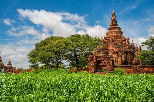 Valokuva Ancient red brick pagoda among corn fields in Bagan, Myanmar.