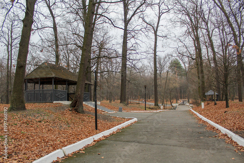 Wooden gazebo in a tranquil autumn park landscape.