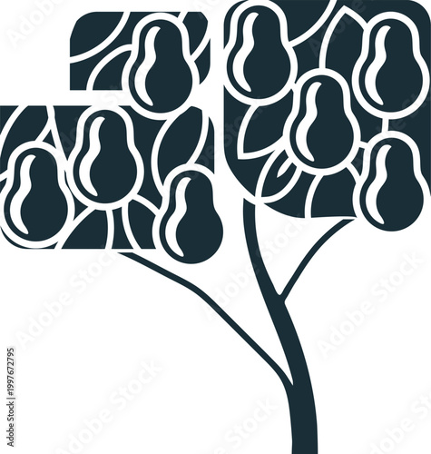 Stylized Flat Design Pear Tree Silhouette (Pyrus communis) with fruits and leaves