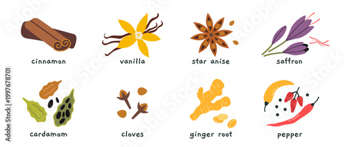 Set of spices like cinnamon, vanilla, saffron, cardamom and more. Aromatic ingredients collection for cooking, baking and drink flavoring concept. Trendy vector illustration, hand drawn, flat design