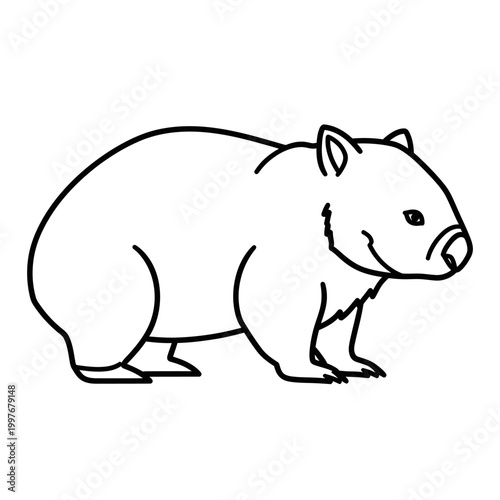 Simple line drawing of a wombat, a marsupial animal, in black and white.
