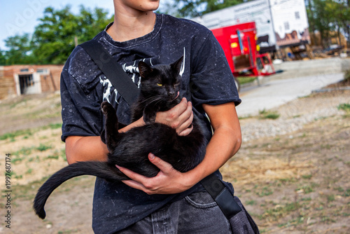 Obraz na płótnie young black cat sitting on owner's hands with paws up outdoors, walking, squinti