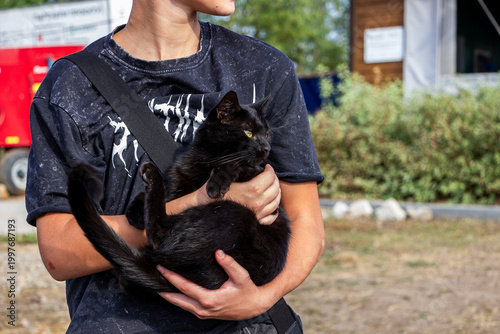 Tableau sur toile young black cat sitting on owner's hands with paws up outdoors, walking, squinti