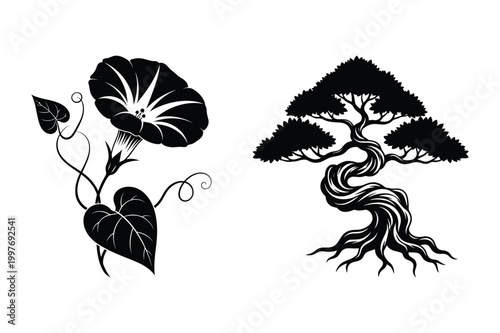 Black silhouette of morning glory flower and twisted bonsai tree with silhouette
