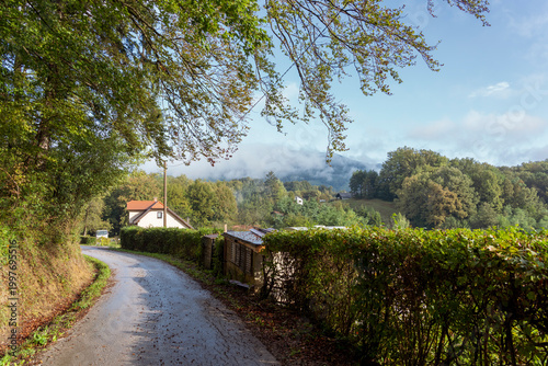 Scenic rural road winding through lush greenery with a view of distant hills and a quaint house in the background under a clear blue sky