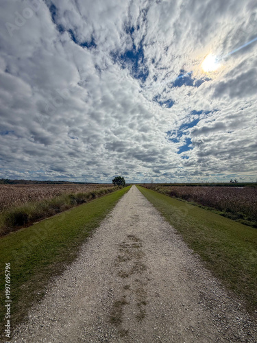 road to the sky