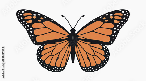 A stunning close-up of an orange and black butterfly with intricate patterns, its wings spread wide