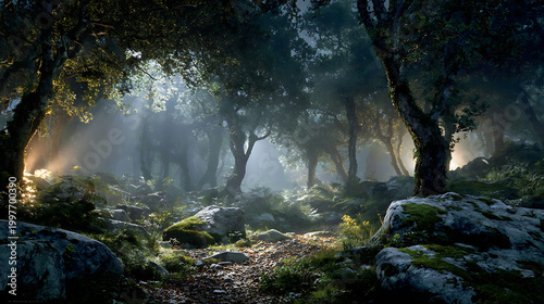 magical forest landscape lit up