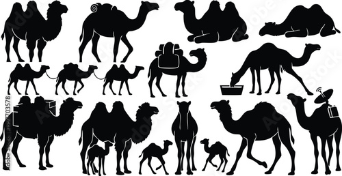 Camel Silhouette Collection: Desert, Walking and Arabian Camel Black Silhouettes