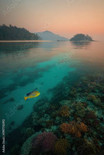 young man with bright smile stands in front of flooded rice paddies in indonesia during golden hour