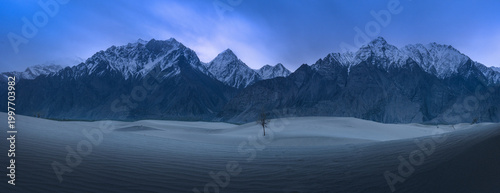 View of the Katpana Desert sand dunes with a lone tree and snow-capped mountains under a blue twilight sky in Skardu, Baltistan, Pakistan.