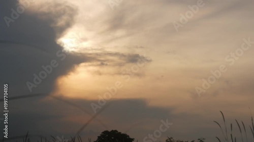 Sunset view with silhouettes of birds flying in a cloudy sky