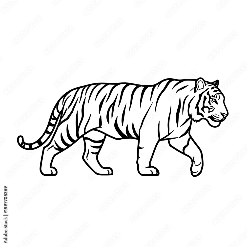 Obraz premium Striking black and white illustration of a majestic tiger prowling forward.