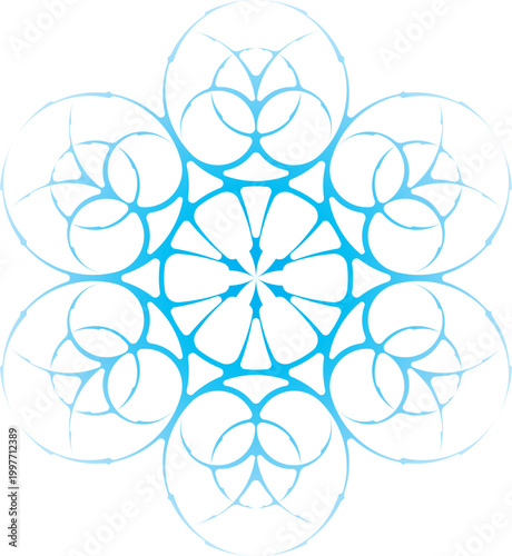 Photography Snowflake Loopy