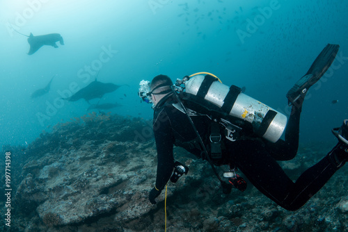 Φωτογραφία Diver looking at manta rays over reef in blue ocean Maldives