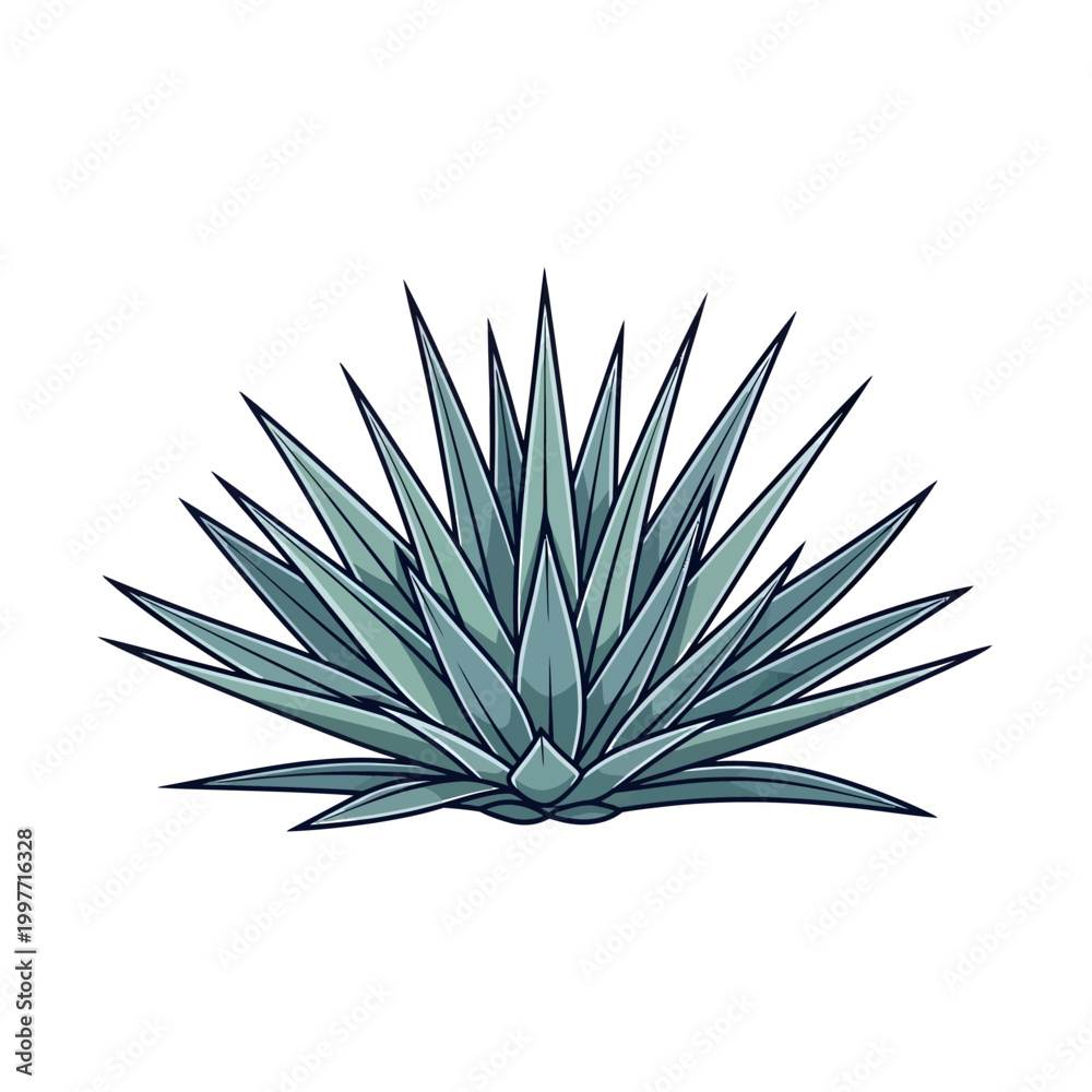 Fototapeta premium Agave plant icon desert botanical succulent illustration