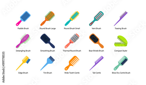 Hair brushes and combs displayed on white background