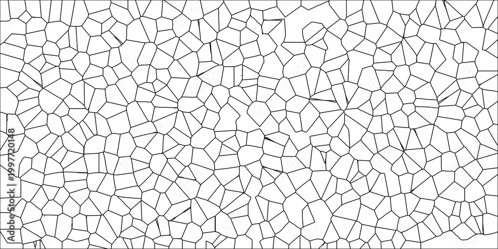 Obraz premium Organic Geometric Tessellation Black Lines White Background Cellular Network Pattern Vector Art illustration