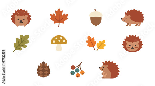 A charming collection of cute cartoon illustrations featuring hedgehogs, autumn leaves, acorns, mushrooms, and pinecones, perfect for seasonal designs.